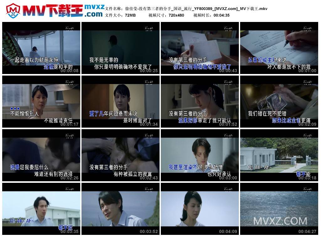 徐佳莹-没有第三者的分手_国语_流行_YF800389